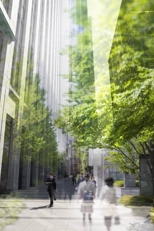 CO2-Neutralität für Unternehmen